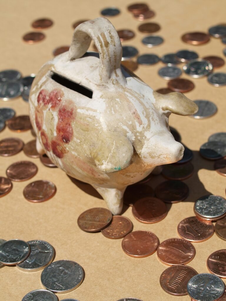 Dicas práticas de como economizar dinheiro no dia a dia