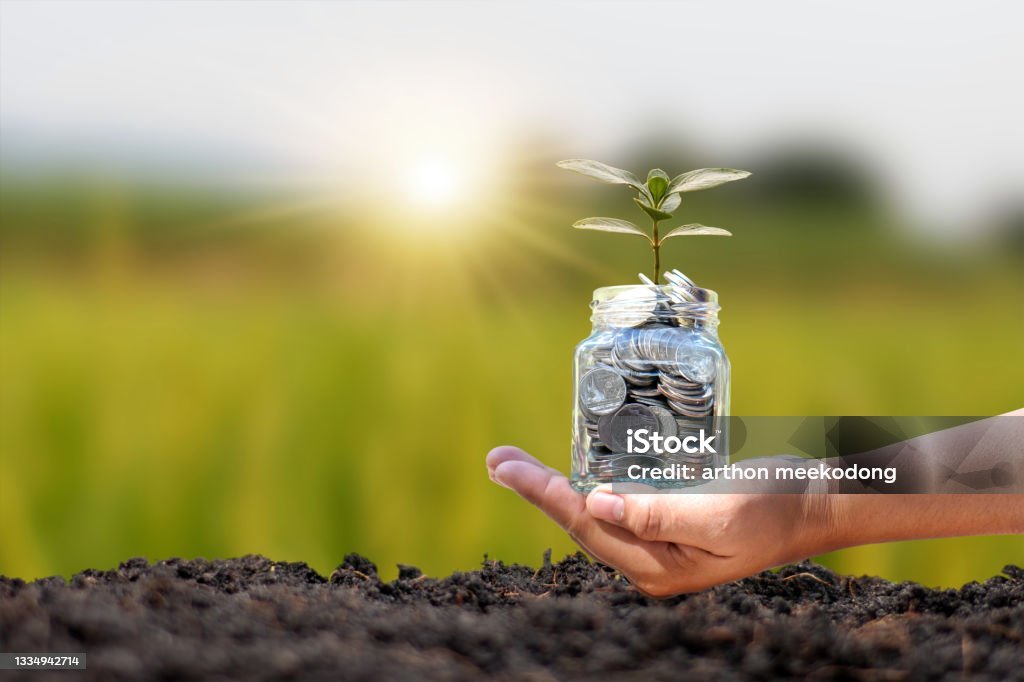 Pessoa iniciando um investimento seguro com pouco dinheiro