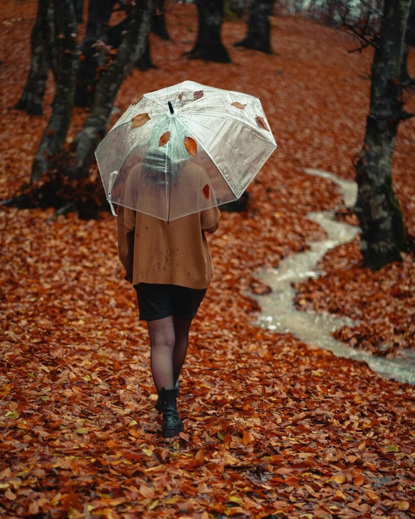 Recomeçar a vida financeira com calma