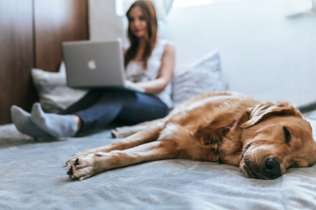 Mulher trabalhando no notebook em casa enquanto seu cachorro descansa na cama.